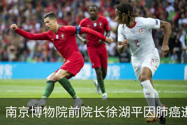 南京博物院前院长徐湖平因肺癌逝世，曾卷入文物争议风波